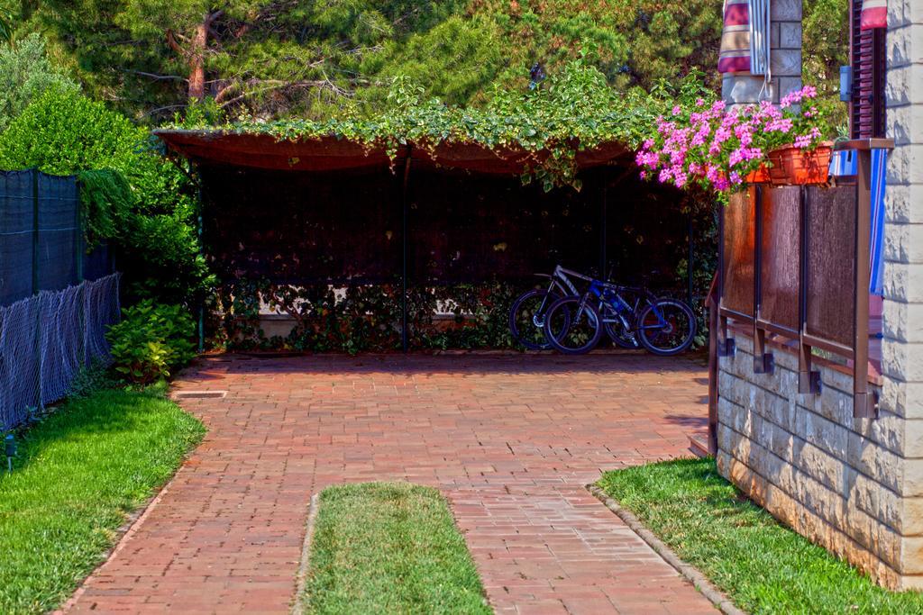 Apartments Daniela Novigrad  Luaran gambar